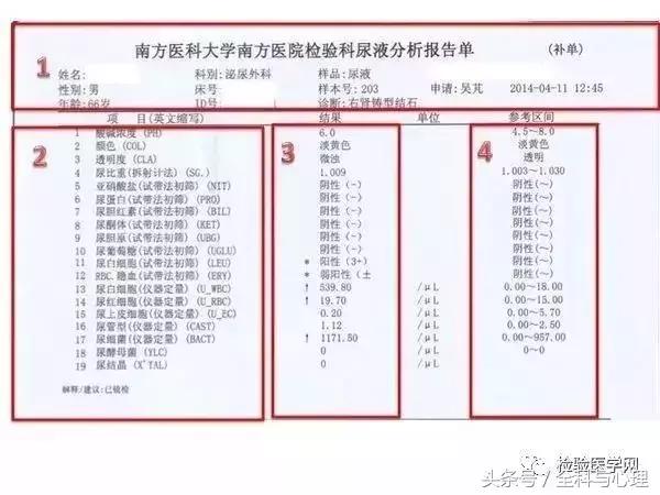 90%的人都没有看懂的尿常规，原来是这样……
