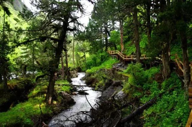 踏春出游四天三晚,四姑娘山五一节值得去吗