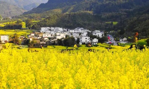 清明请假2天休息5天,清明小长假两天一夜出游攻略