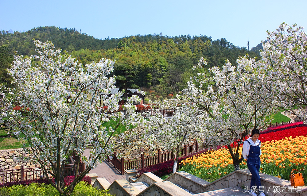 宁波植物园樱花最佳拍摄,花花世界桃博园