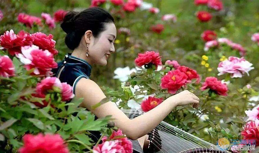 国色朝酣酒天香夜染衣怎么读,国色朝酣酒天香夜染衣解释