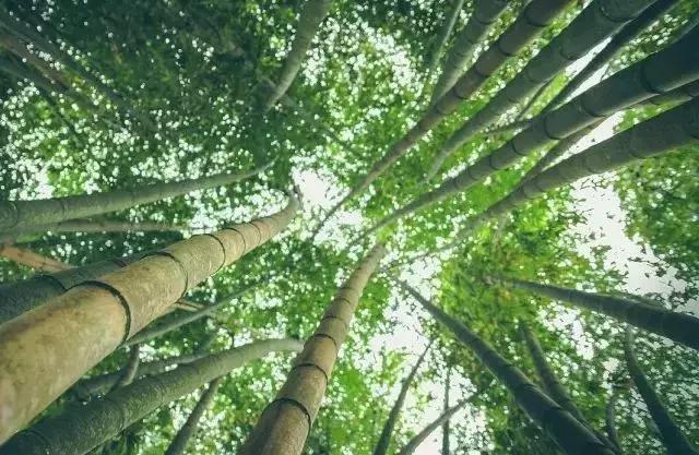 三亚房车租赁游,三亚租赁房车自驾