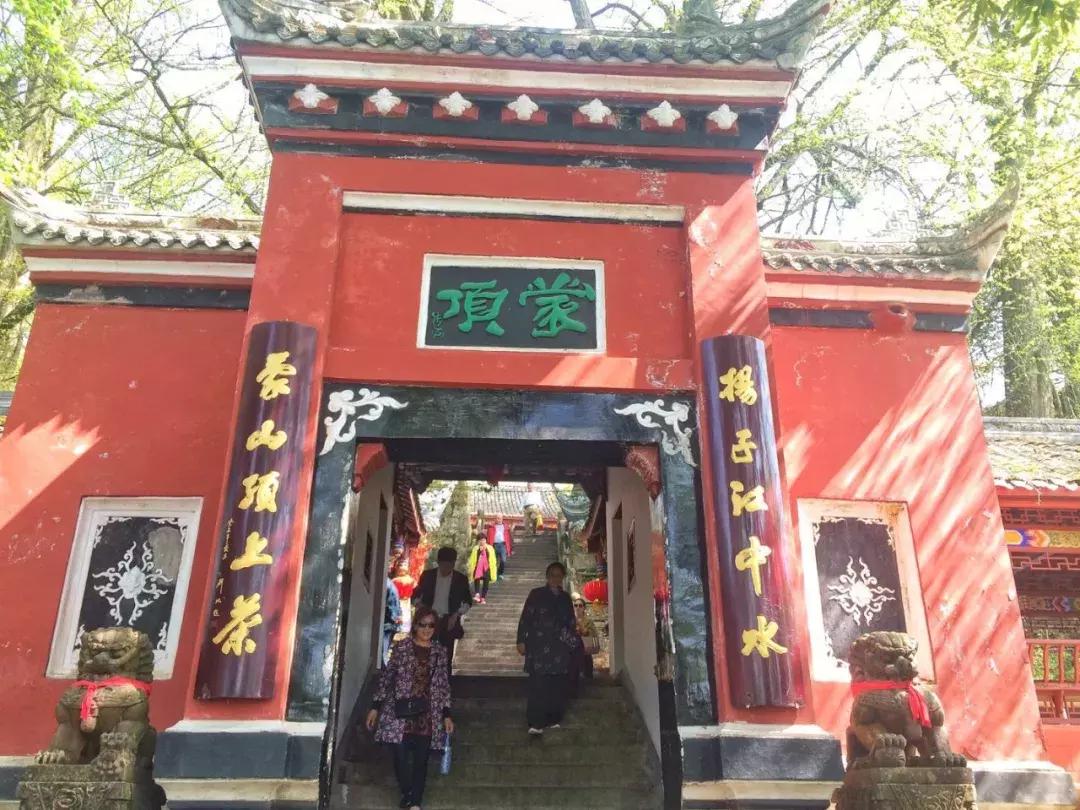 清明踏春一日游必去景点,踏春赏花景点最美推荐