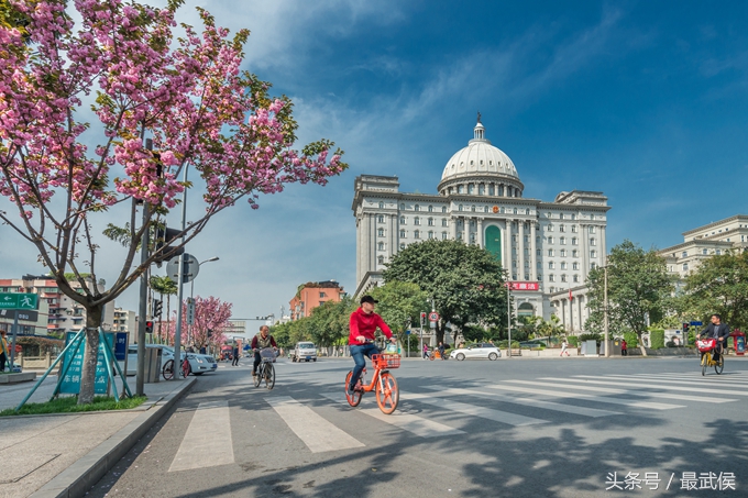 成都看日本樱花,日本哪个区看樱花最好