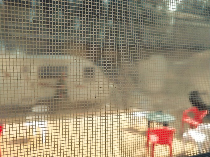 深圳东莞旅游景点推荐,东莞免费景点排名大全集