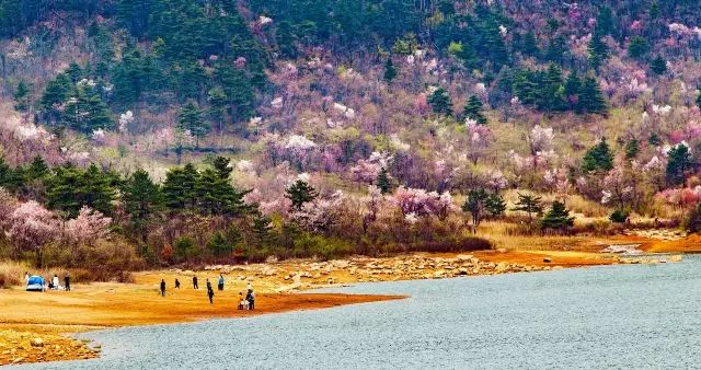 诗意到极致的江南小镇,最有韵味江南小城