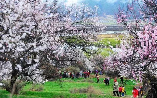 诗意到极致的江南小镇,最有韵味江南小城