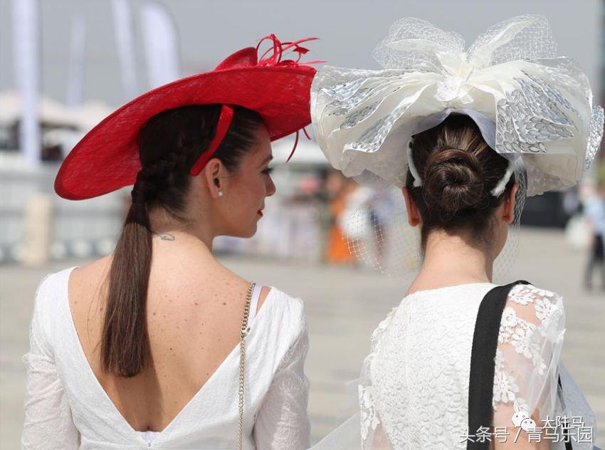 赛马节马的装扮,第27届迪拜赛马世界杯