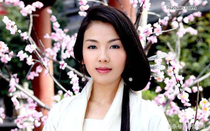 倾世皇妃有4美，马湘云垫底，林心如第二，第一美的闭月羞花