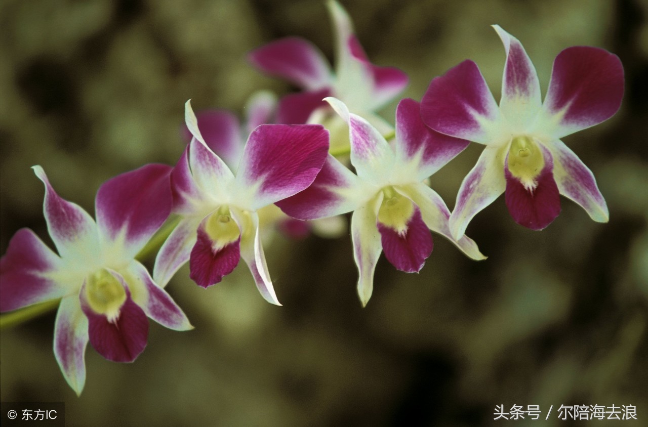 友不在多贵在知心原文,友不在多贵在知心文字图片