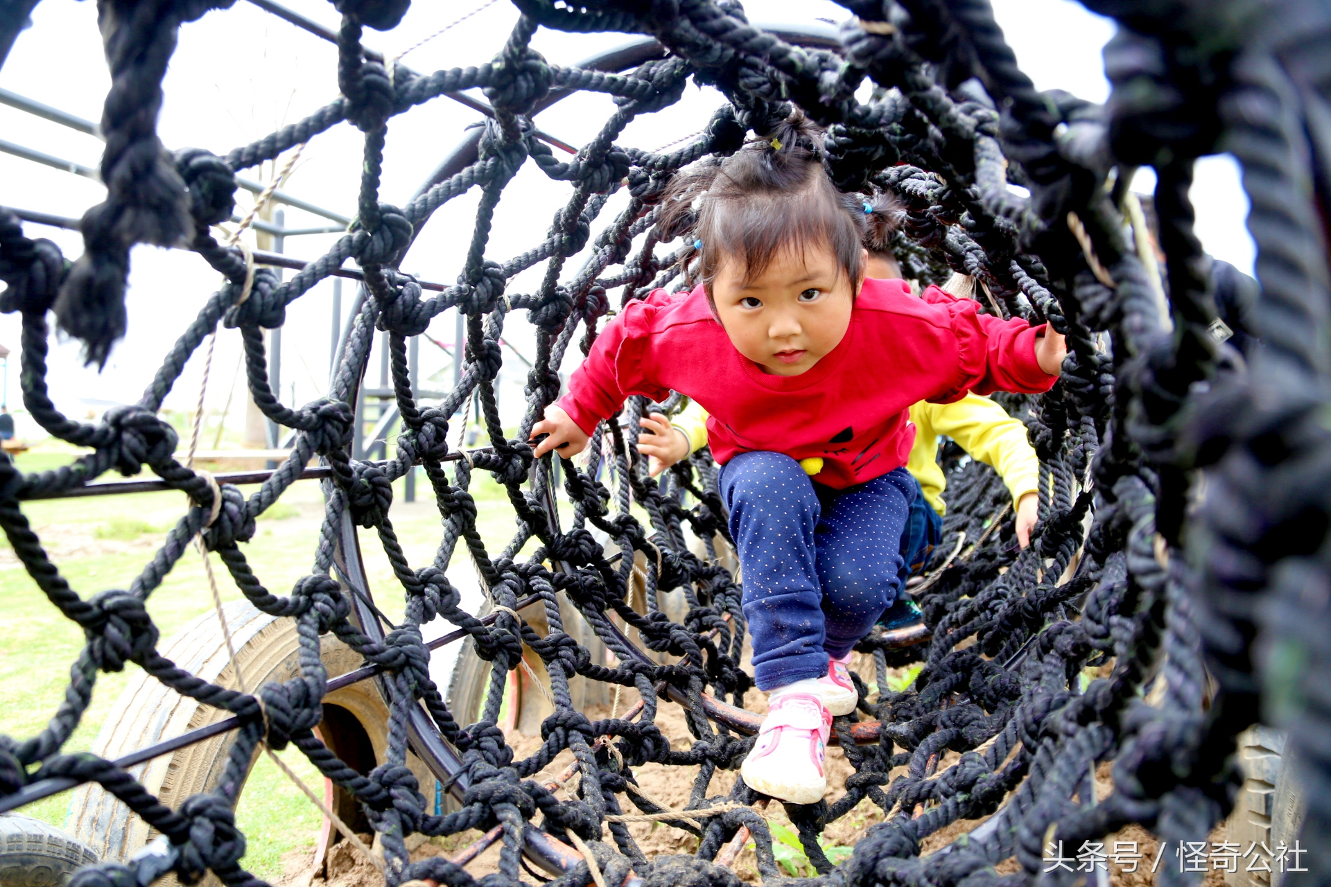 宜昌市夷陵区同心花海,2020宜昌赏花同心花海