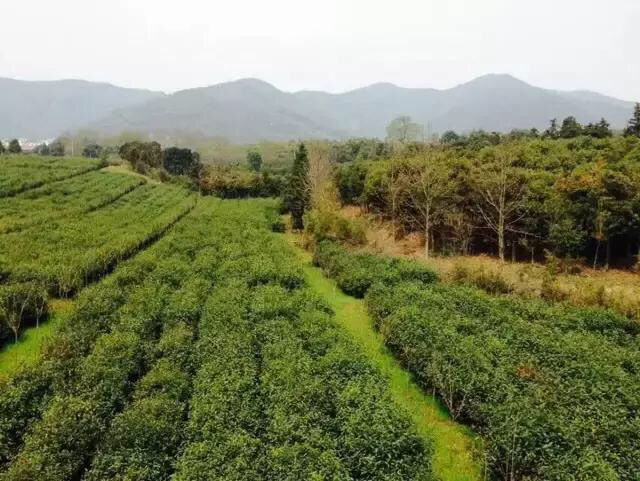 人间真味完整版,人间真味