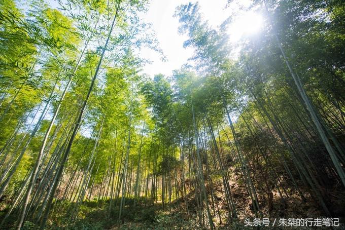 九十里山水画廊，从万亩桃花开始（淮南-六安自驾三日旅游攻略）