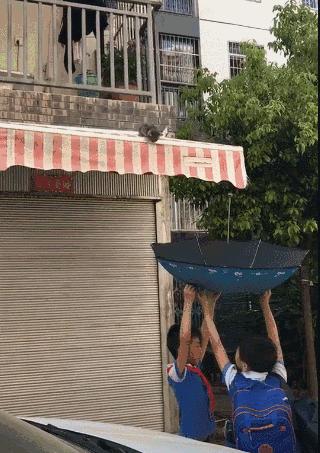 小奶猫被困了怎么办,小奶猫困地下怎么救上来