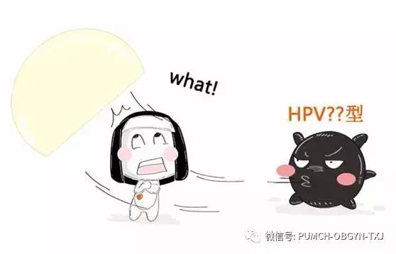 协和医院预约hpv疫苗,hpv九价疫苗可以在私立医院打吗