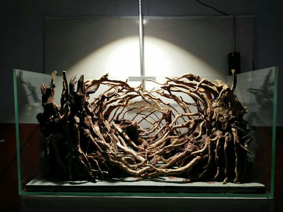 鱼缸改造草缸造景新手教程,新手草缸简单造景图