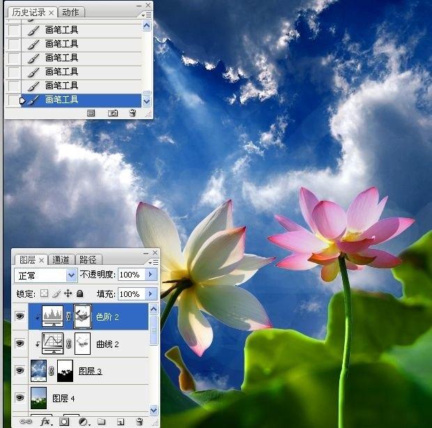 拍荷花用ps做成水墨画方法,ps怎样将拍的荷花p得漂亮免费教程