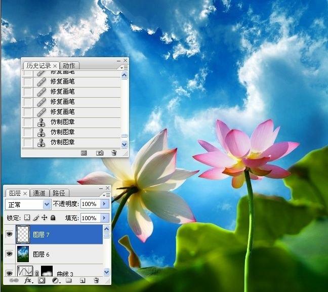 拍荷花用ps做成水墨画方法,ps怎样将拍的荷花p得漂亮免费教程
