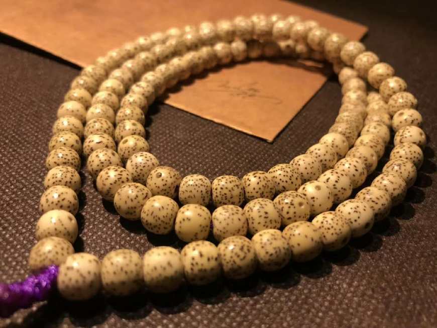 怎样判断菩提的品质好坏,如何鉴定菩提是真还是假