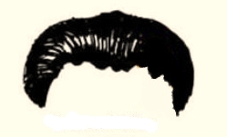 神秘的面相术,猫耳朵发际线的面相学