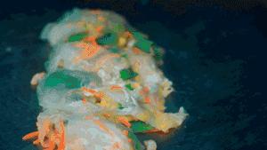 宁波大学这条美食街，承包了千万学子的胃！那里有你的青春吗？