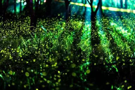 我想带你去看熟悉的风景,沙巴美景之旅