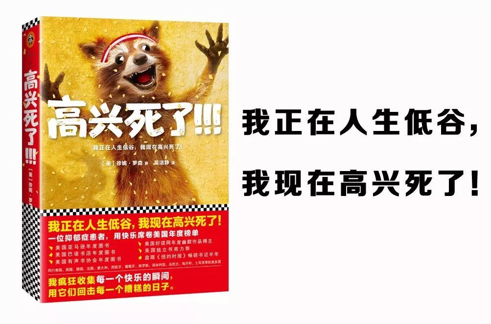 我正在人生低谷，但我高兴死了-一位抑郁症患者写的如何快乐的书