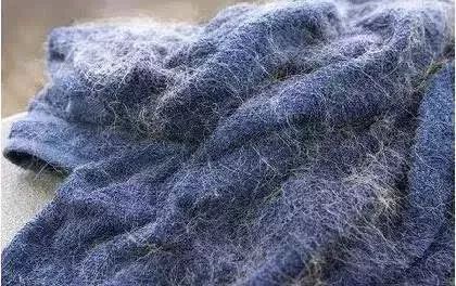 养猫铲屎官注意事项,铲屎官爱猫的三种境界