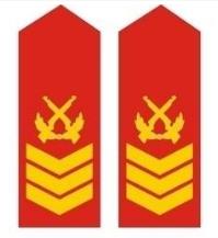 什么是士官,什么是士官和干部