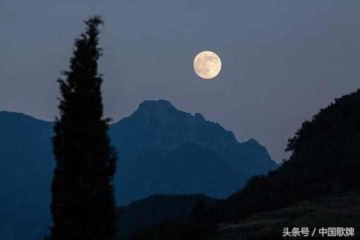 七言诗句南柯一梦,南柯一梦最伤感的诗句