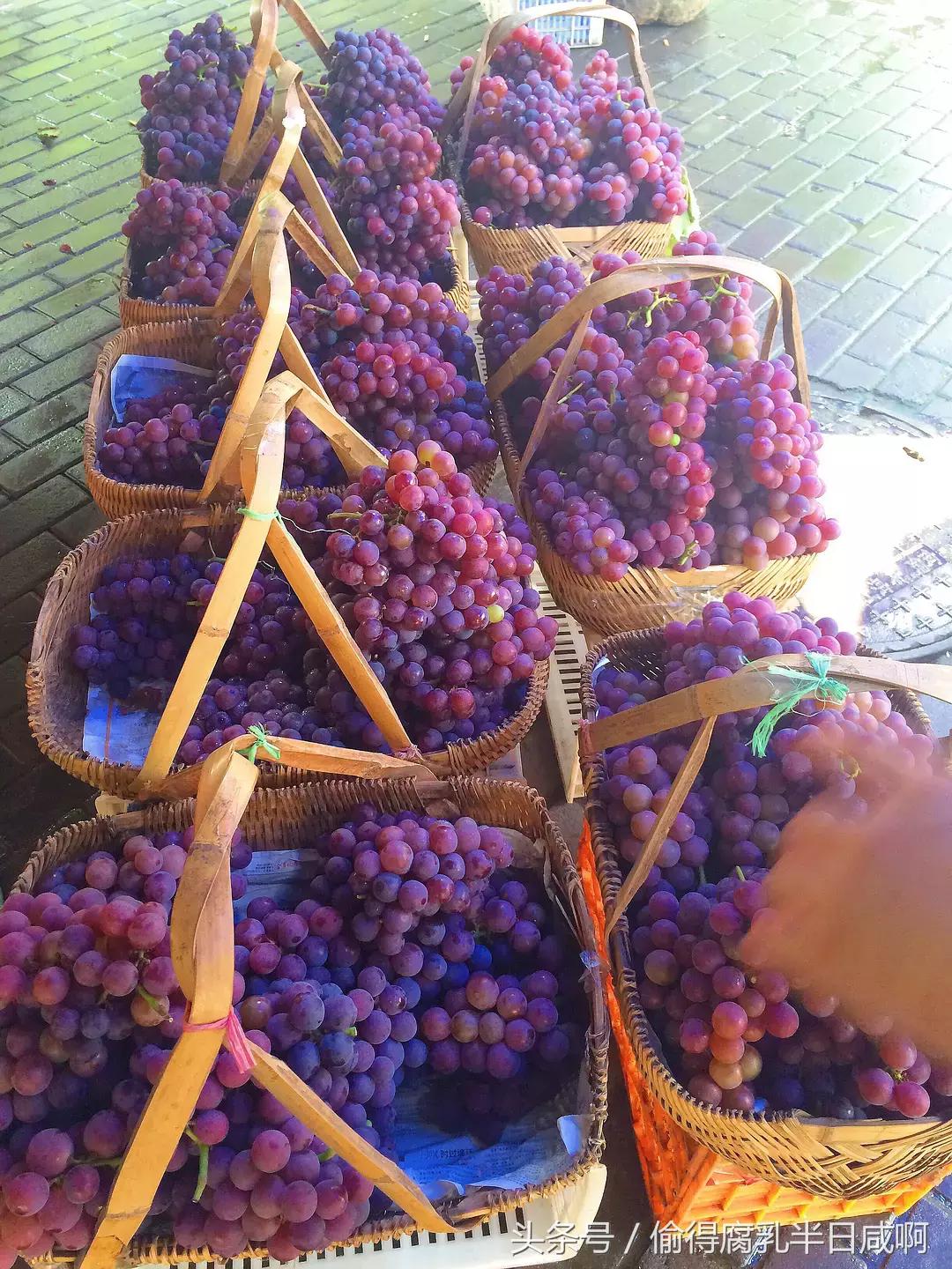 安利下你的家乡特产,安利下北京的美食