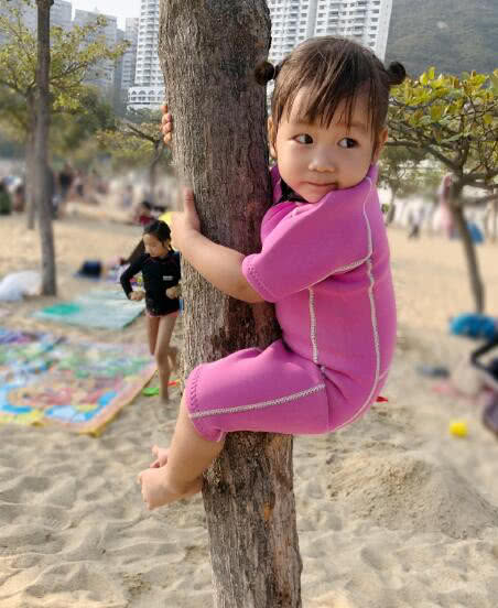 陈浩民老婆晒孩子照片,陈浩民妻子晒四个孩子照