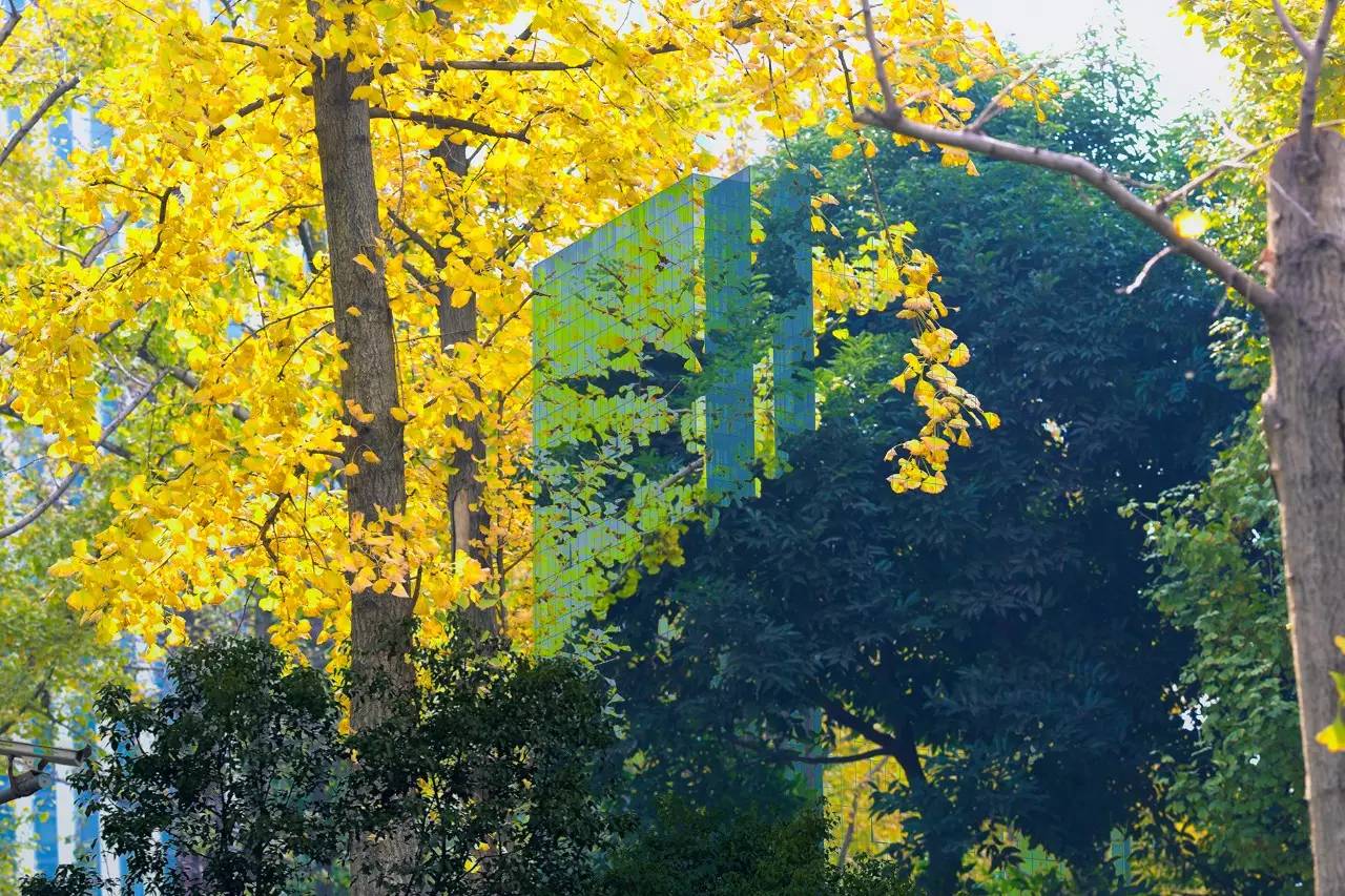 不会玩多曝摄影？看完这10个问题就会了