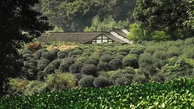 收藏一家一定会去入住的酒店,收藏一家一定会去的酒店