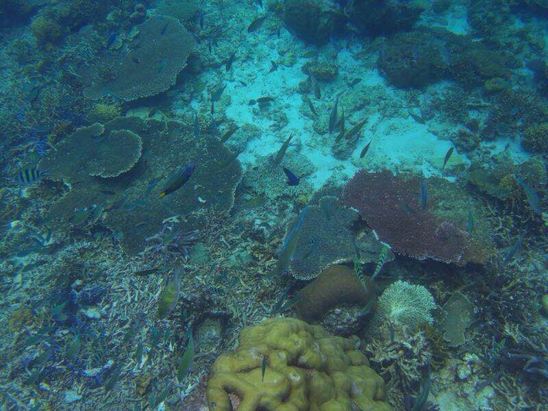 闺蜜沙巴旅行记 (和好友在沙巴旅行)