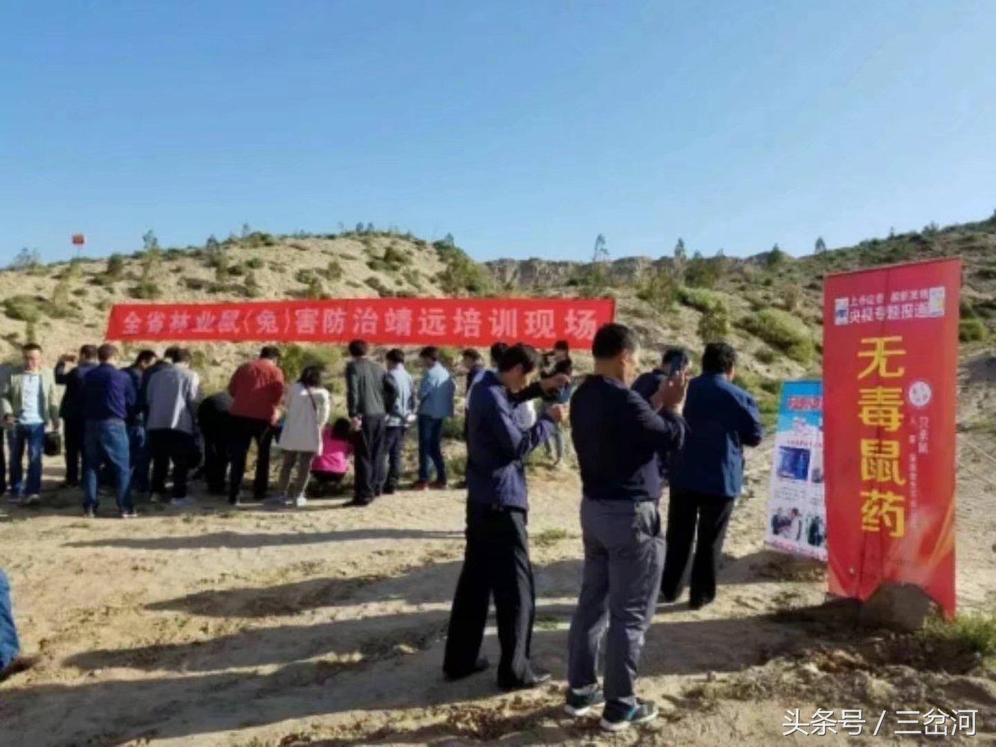 农民新型捕鼠神器,河南农民发明捕鼠神器