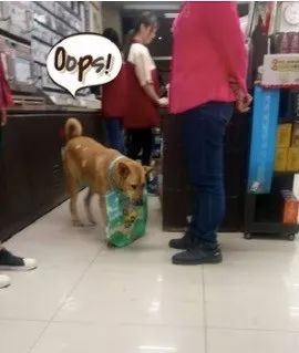 偷看客人吃东西被发现，阿汪秒变无辜脸：我来陪爸爸买酱油的...