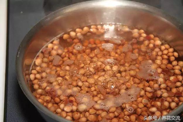 樱桃种子怎么种出樱桃树,用种子种樱桃苗怎么种