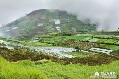 坪效4-7万元，会员制专营有机生鲜的成都尚作有机能跑通吗？