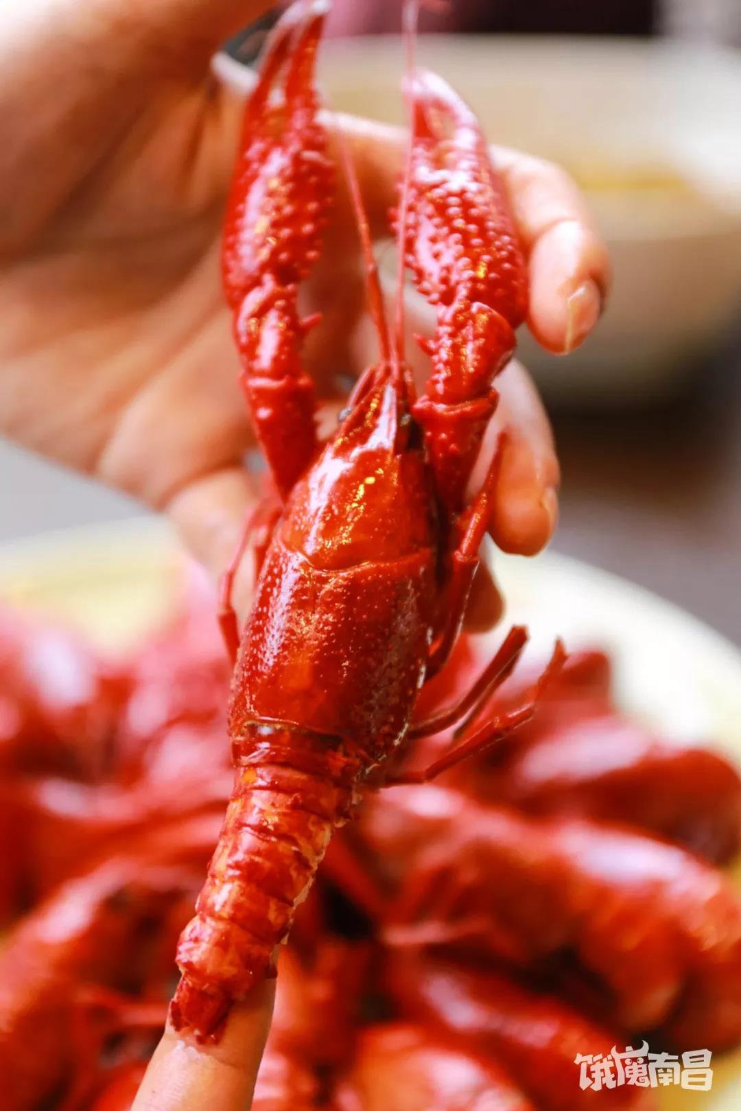 靓靓蒸虾超级工厂套餐,靓靓蒸虾头牌蒸虾优惠