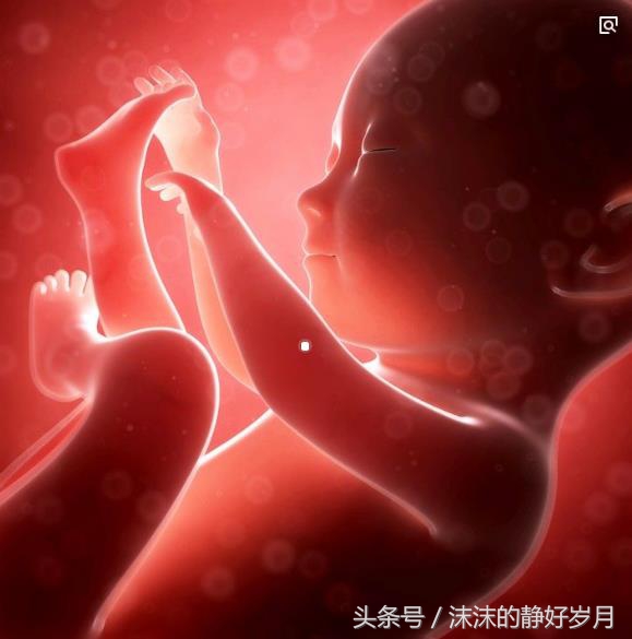 小孩会有胎儿时期的记忆吗,小孩可以记得在妈妈肚子里的事吗