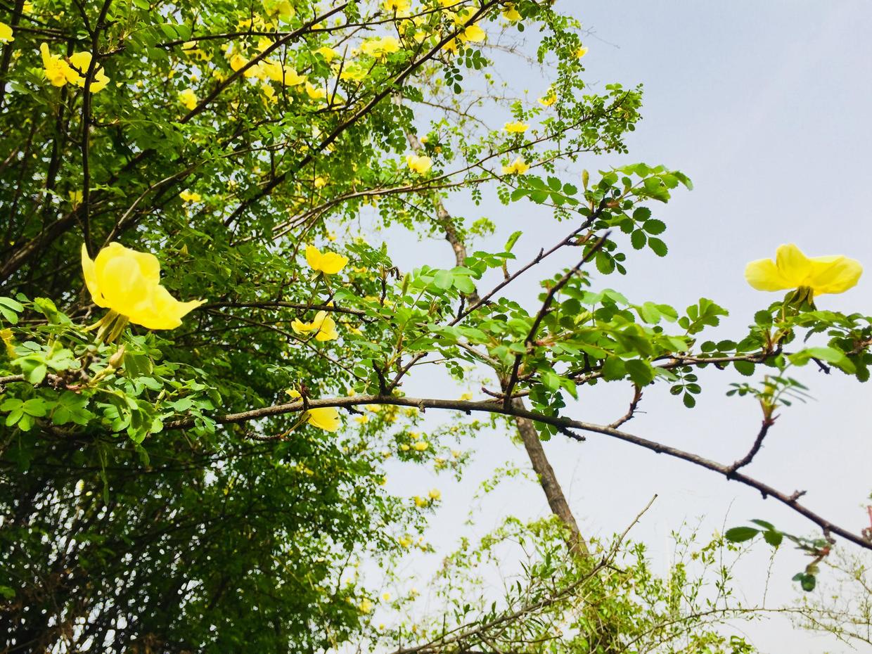 50岁改行职业规划,50岁改行能做什么