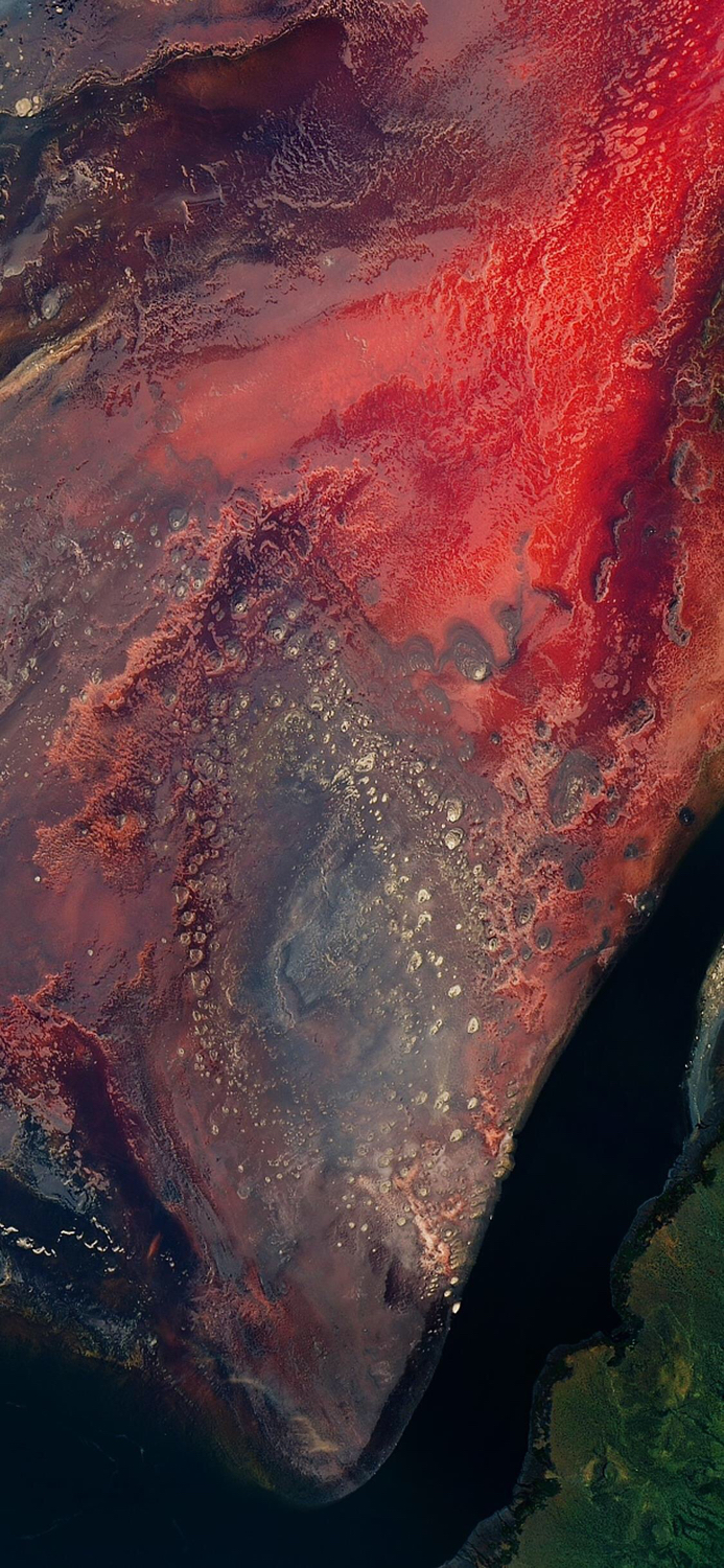 苹果x手机苹果标志壁纸,苹果x壁纸高清无水印