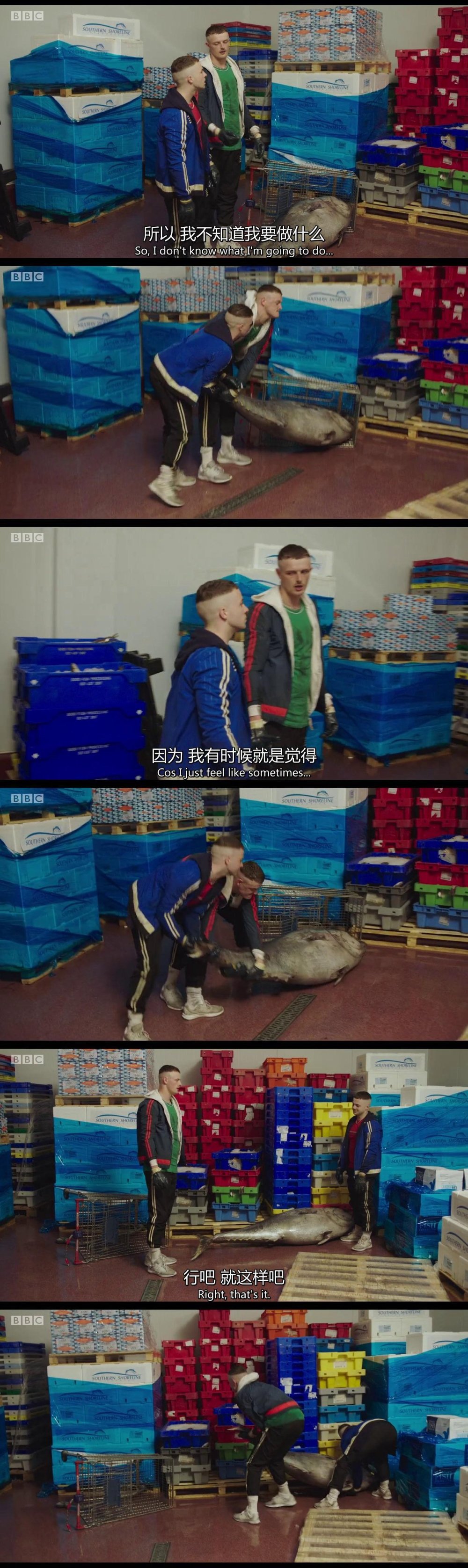 “我不是同性恋，如果是，我愿意和他搞基”