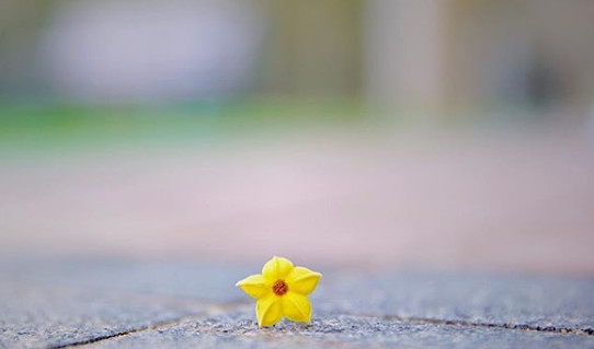 海边ins冷淡风格拍照,ins风写真照片高级感