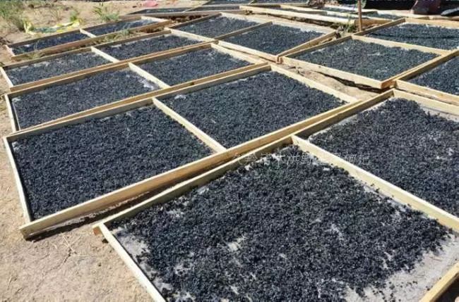 黑枸杞适宜什么样的人吃,黑枸杞都适合啥样人群吃