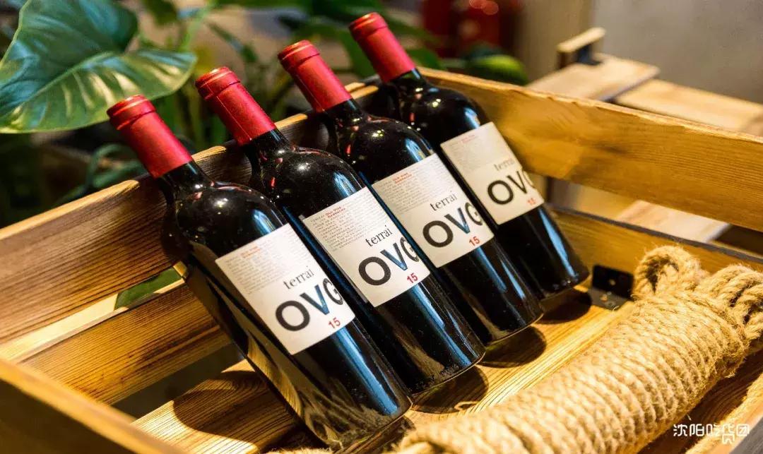 沈阳美食推荐必吃西餐,五一沈阳必打卡轻复古西餐厅推荐