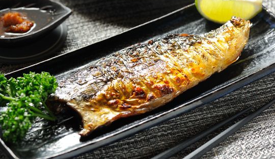 日式料理四种鱼,日本料理一般有哪些鱼