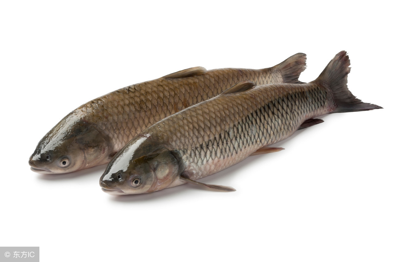 保胎吃什么食物最好食谱大全,保胎的孕妇吃什么美食