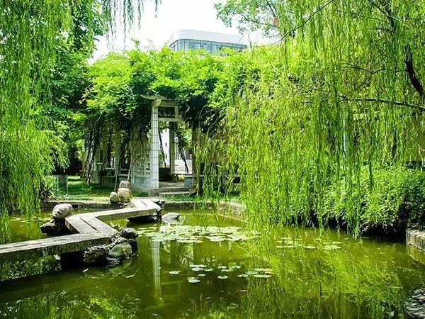 长沙市一中校友,我的母校